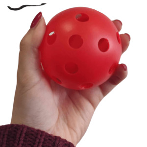 Enrichment: Wiffle Ball Assorted