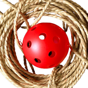 Enrichment: Seagrass Rope/Wiffle Toy Kit