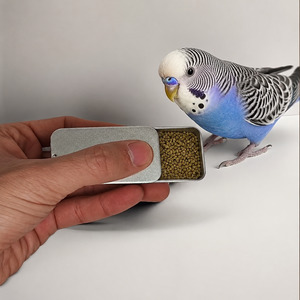 Bird Enrichment: Training Bird Feeding Push-Pull Box