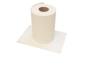 Products: Multi Use Paper Towel