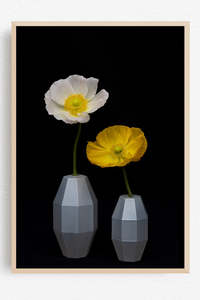 A Quiet Arrangement