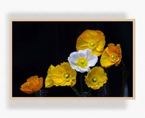 Flowers In Full Bloom: Still They Rise
