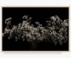 Flowers In Full Bloom: Delicate Constellation