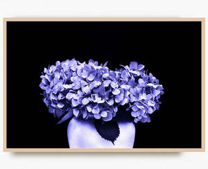 Flowers In Full Bloom: Indigo Bloom at Midnight