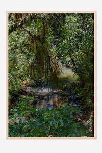 New Zealand Landscape Images: Wild Eden