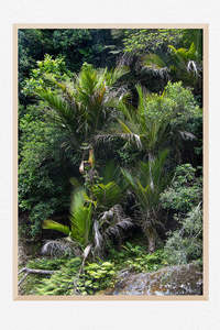 New Zealand Landscape Images: Raw Wilderness