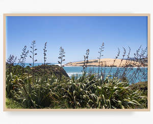 New Zealand Landscape Images: Flax and Flow