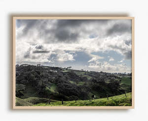 New Zealand Landscape Images: Farming Down Under