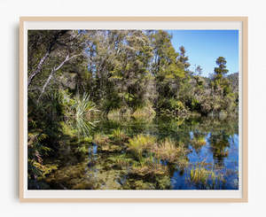 Te Waikoropupū Springs