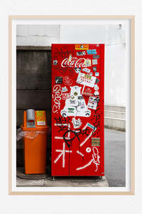 Coca-Polar