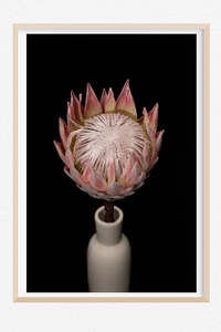 Favourite Blooms: The King Maker