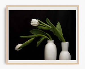 Favourite Blooms: Take a Bow