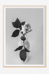 Monochrome Moment: Rosebud Noir