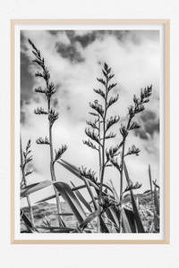Monochrome Moment: Harakeke Noir