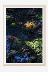 Nature's Jewels
