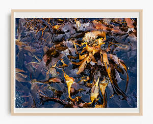 Temperatures Rising - Limited Edition