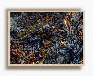 Contemporary Neon Wall Art Nz: Black Gold - Limited Edition