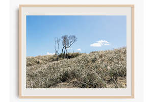 Muriwai Sand Dunes Pastel