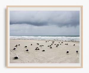 Batten Down the Hatches
