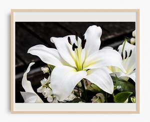 In Love with a Lily