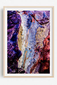 Rockstar Collection: Rockology