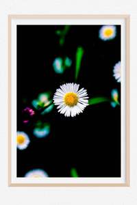 Abstract: Daisy Chain