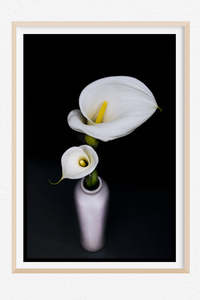 Flowers In Full Bloom: Shadow Dancer