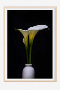 Flowers In Full Bloom: Pure and Simple