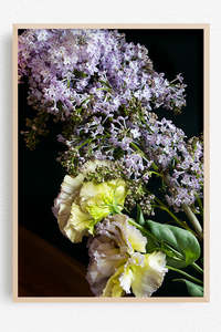Dark And Moody Blooms: Where Spring Waited