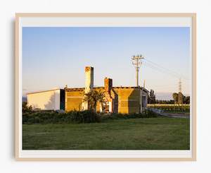 Marlborough Fine Art Prints Nz: Still Standing