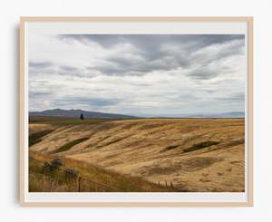 Central Otago Fine Art Photography Nz: Otago on my mind