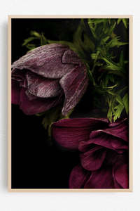 Flowers In Full Bloom: Still, It Blooms