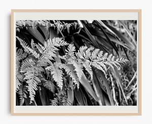 Monochrome Moment: Noir Undergrowth | Black and White Art Print