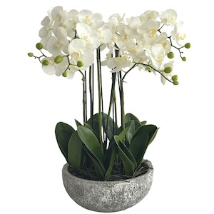 Decor Faux Plants: Olivia White Orchid in Round Clay Pot 62cm