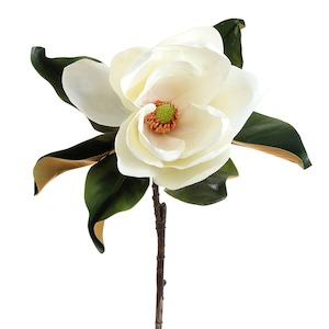 Decor Faux Plants: Magnolia Flower Stem 77cm White