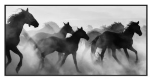 Wall Art: Wild Horses Canvas W/ Black Frame
