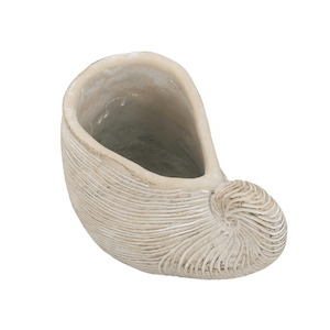Pots Planters: Shell Planter - Large