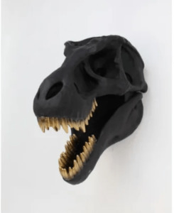 Wall Hanging Tyrannosaurus Rex Skull - 30cm