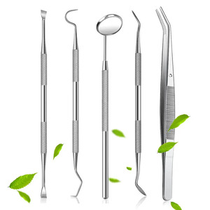 Products: 5pcs Dental Hygiene Kit, Portable Dental Tools, Teeth Cleaning Kit, Stainless Steel Plaque Remover Set, Oral Care For Adults, , Includes Small Tongue Scraper, Mirror, Probe With a Case For Home Use - Online Health