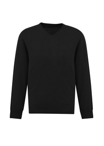 Roma Mens Pullover by Biz Collection