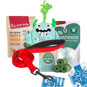 Pet Accessories: Small Dog Gift Pack + 90cm Lead