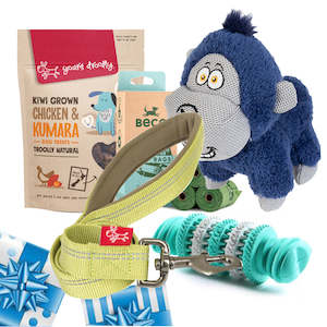 Large Dog Gift Pack + Reflective Lead 120cms
