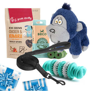 Christmas: Large Dog Gift Pack + 120cm Lead