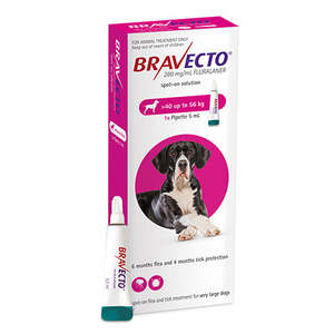 Bravecto: Bravecto Spot On X-Large Dog 40-56kg
