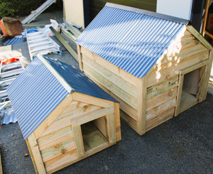 Products: Large Dog Kennel Insulated