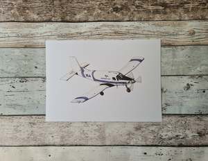 Original Paintings: Top Dressing Plane Print