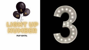 LIGHT UP NUMBER “3” ~ rental