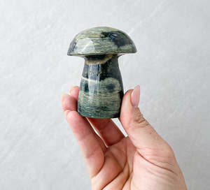 Grounding: Ocean Jasper Mushrooms | Courage