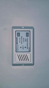 Products: The Peel CO Detector