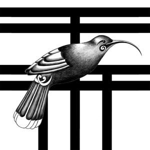 Framed Pieces: Temple Of The Huia